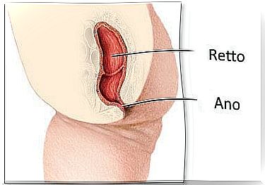 Anoscopy, anus and rectum