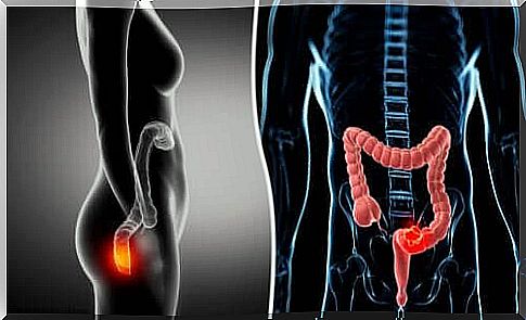 Anatomy of the anus and rectum