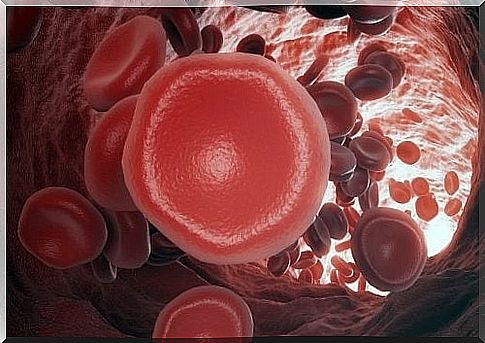 Blood clotting: what is it and how does it happen?