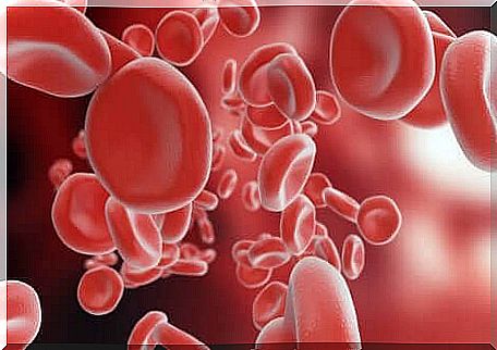 Blood coagulation physiology