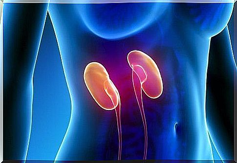 Cleanse the kidneys in a week with the right nutrition