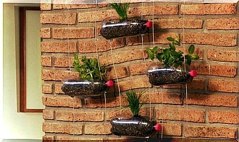 Indoor garden bottles