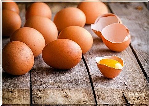 eggs fat-burning foods