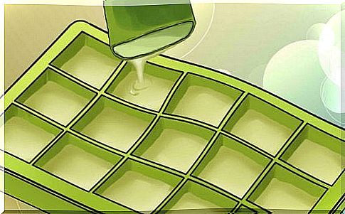 Freezing aloe vera: all the benefits