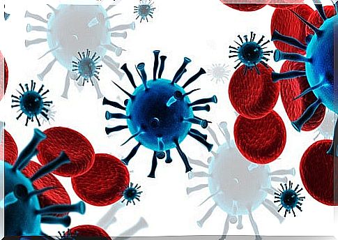 immune system cells