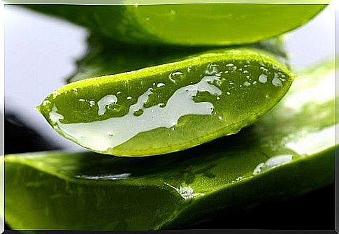 Aloe vera gel