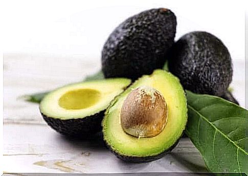 Healthy recipes with avocado, the king of tropical fruit