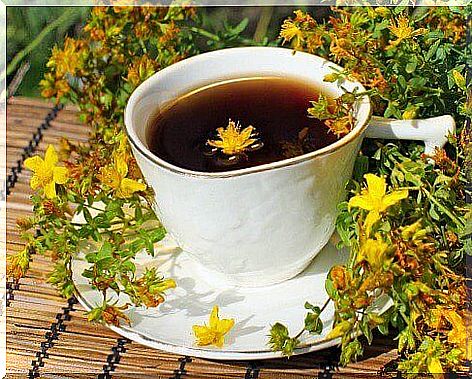 Cup with St. John's wort between herbal teas to calm anxiety