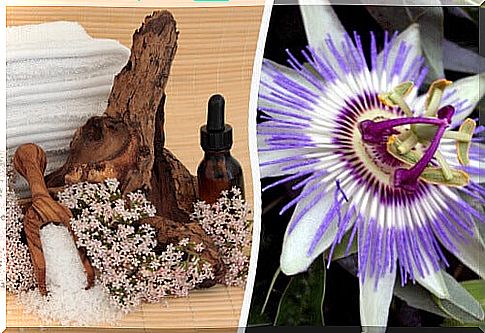 Passionflower to calm anxiety