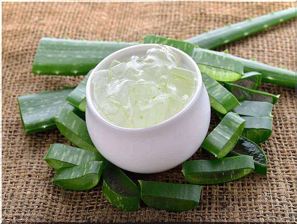 Aloe vera cream against hyperpigmentation