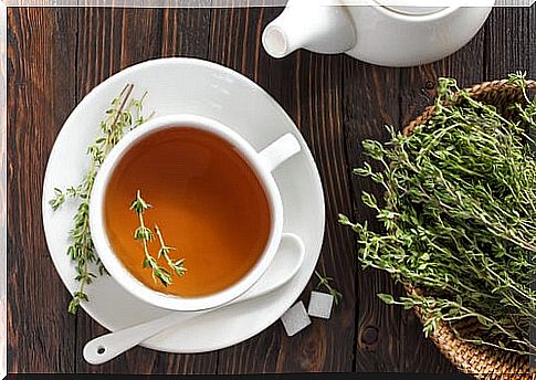 Infusions to the Jews: thyme