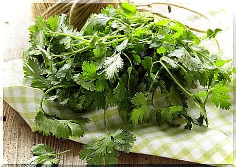 coriander has great diuretic power