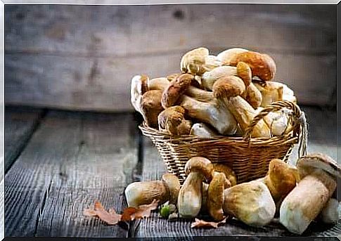 Basket of mushrooms.