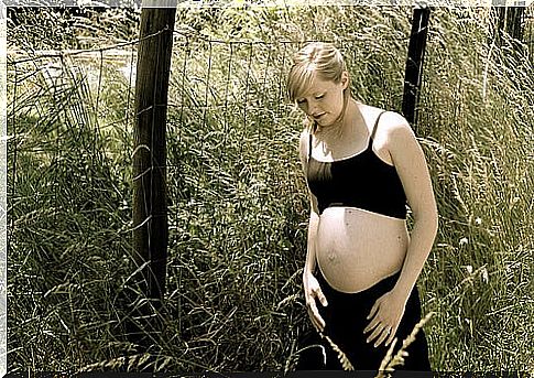 Pregnant woman in the meadow