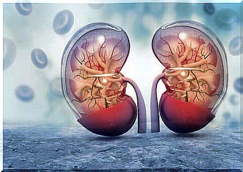 Polyuria and the kidneys