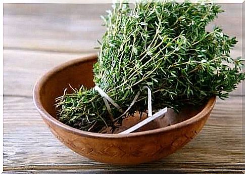 Properties of thyme and its health benefits