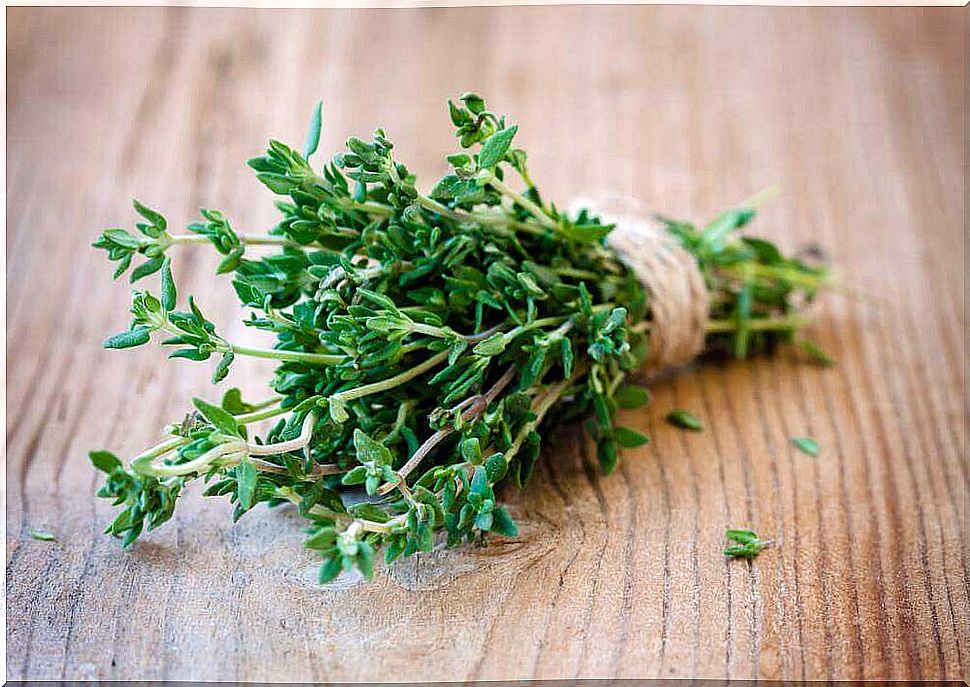 Benefits and properties of thyme