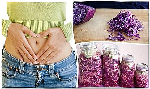 Purple cabbage to improve intestinal flora