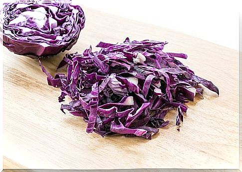 purple cabbage