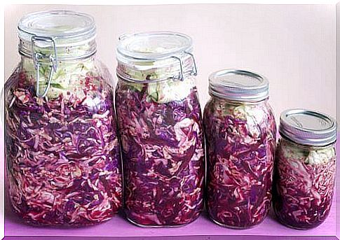 purple cabbage sauerkraut