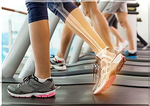 bones and joints-of-the-leg gluten intolerance