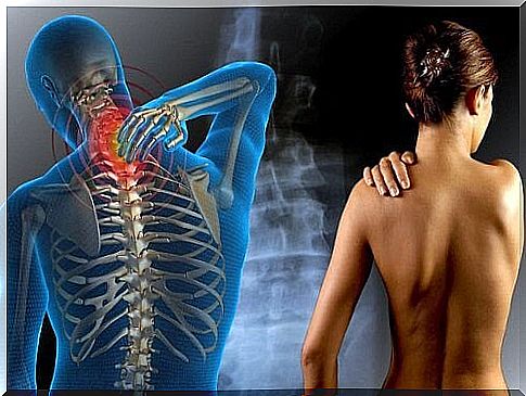 Back pain intolerance to gluten