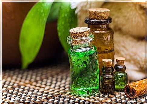 Tea tree oil: the oil of life and a thousand natural remedies