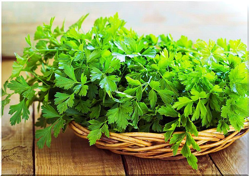 The amazing properties of parsley for the kidneys