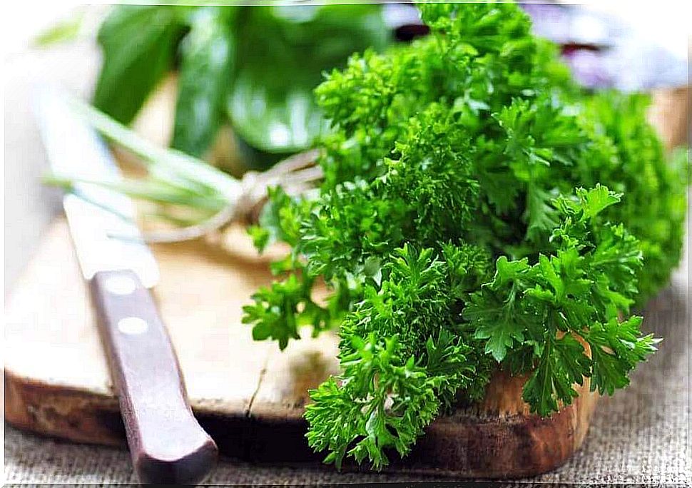 parsley is endowed with numerous beneficial characteristics for the kidneys