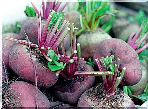 The benefits of beetroot in our diet