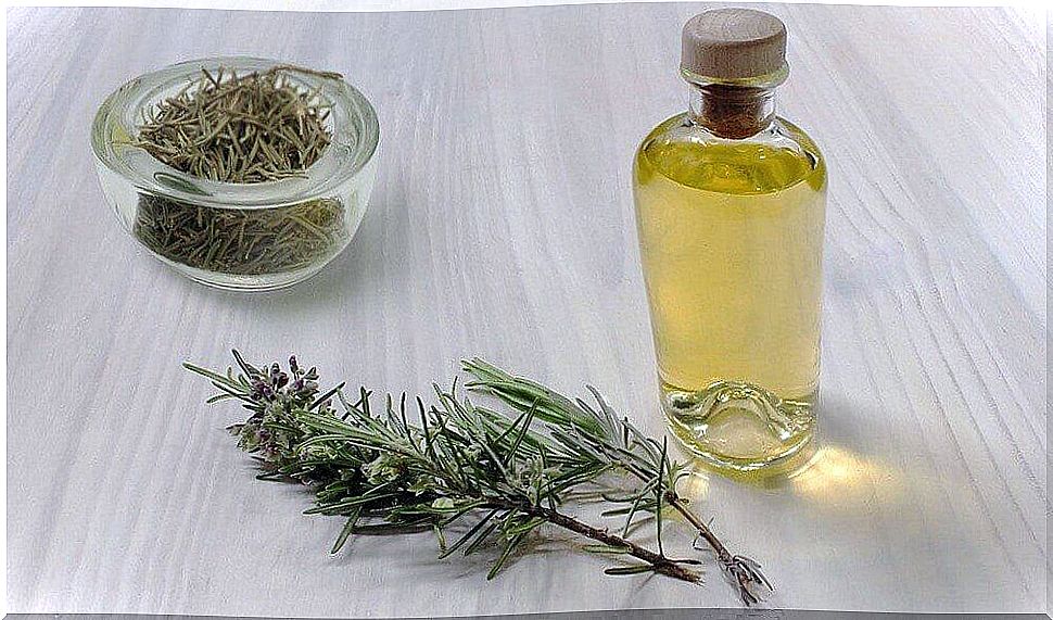 Rosemary oil and sprigs