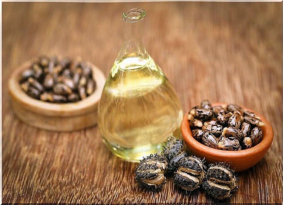 Castor oil and castor seeds