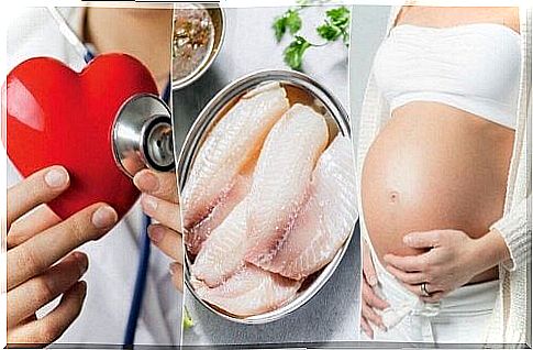 Tilapia: here are the 7 benefits and its properties