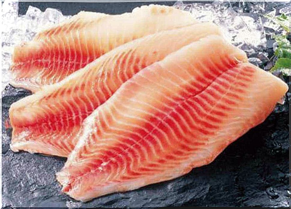 Tilapia fillets