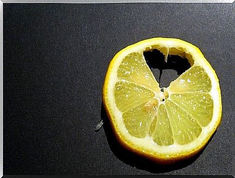 Lemon slice