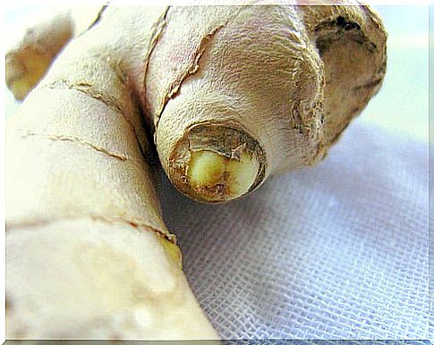 Ginger root