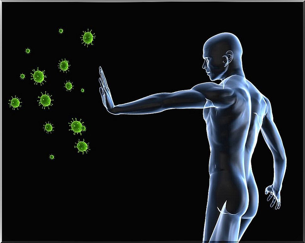 Immune system against viruses