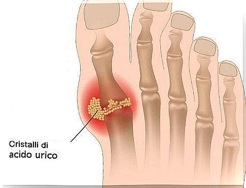 What is uric acid and how is it controlled in the body